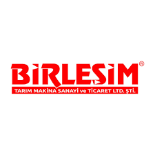 Birleşim